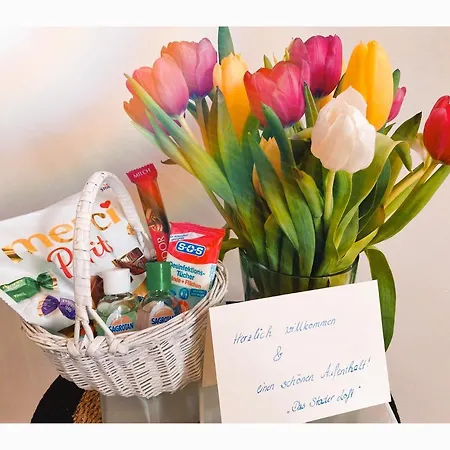 Stader Loft Mit Sonnenbalkon Apartment